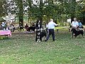 img 207